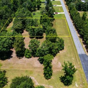 Photo #3 of 112 Aviator Drive, Maple, NC 0.9 acres