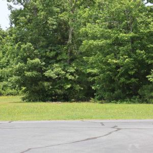 Photo #29 of 114 Aviator Drive, Maple, NC 0.9 acres