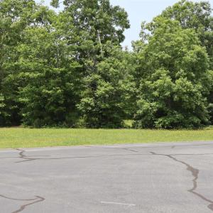 Photo #13 of 114 Aviator Drive, Maple, NC 0.9 acres