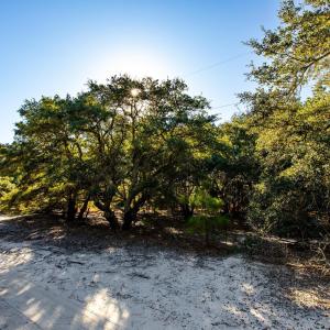 Photo #8 of 2312 False Cape Road, Corolla, NC