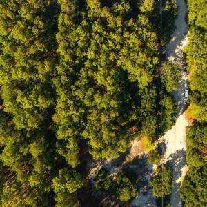 Photo #5 of 2312 False Cape Road, Corolla, NC