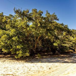 Photo #7 of 2312 False Cape Road, Corolla, NC