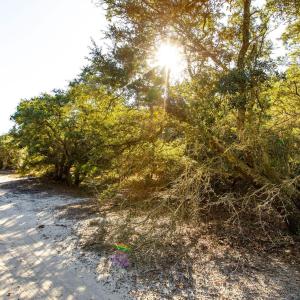 Photo #6 of 2312 False Cape Road, Corolla, NC