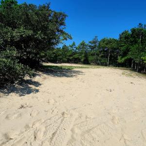 Photo #6 of 2356 Carova Road, Corolla, NC