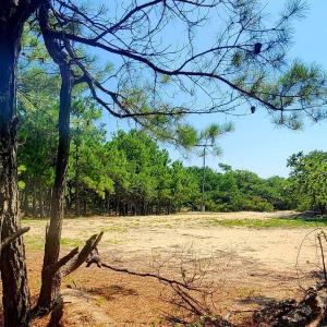 Photo #3 of 2356 Carova Road, Corolla, NC