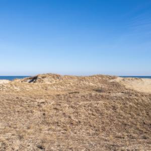 Photo #13 of 2171 Sandfiddler Road, Corolla, NC