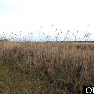 Photo #3 of 231 Jackson Circle, Ocracoke, NC 0.2 acres
