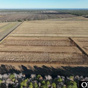 Photo #19 of Off Highway 264, Swan Quarter, NC