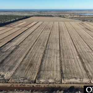 Photo #11 of Off Highway 264, Swan Quarter, NC