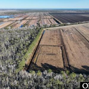 Photo #23 of Off Highway 264, Swan Quarter, NC