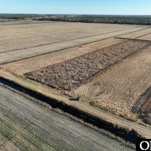 Photo #31 of Off Highway 264, Swan Quarter, NC