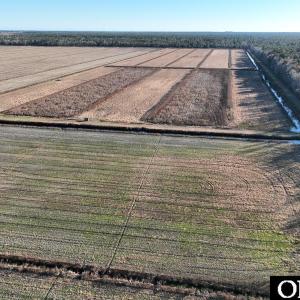 Photo #29 of Off Highway 264, Swan Quarter, NC