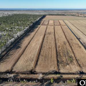 Photo #13 of Off Highway 264, Swan Quarter, NC