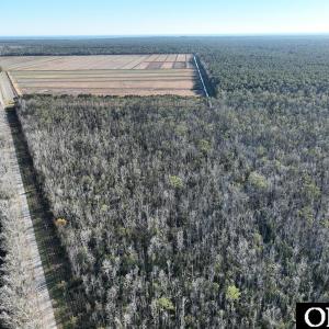 Photo #25 of Off Highway 264, Swan Quarter, NC