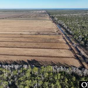 Photo #16 of Off Highway 264, Swan Quarter, NC