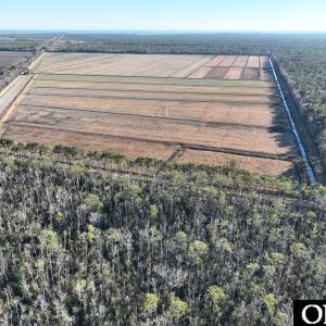 Photo #27 of Off Highway 264, Swan Quarter, NC