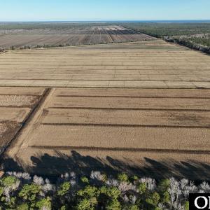 Photo #17 of Off Highway 264, Swan Quarter, NC