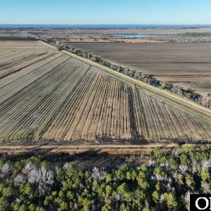 Photo #9 of Off Highway 264, Swan Quarter, NC