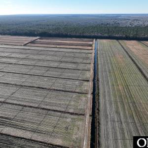 Photo #5 of Off Highway 264, Swan Quarter, NC