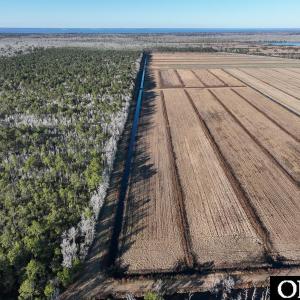 Photo #14 of Off Highway 264, Swan Quarter, NC