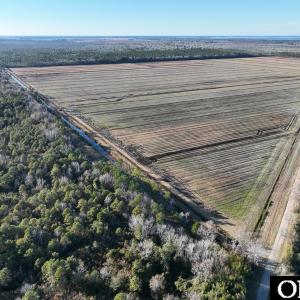 Photo #8 of Off Highway 264, Swan Quarter, NC