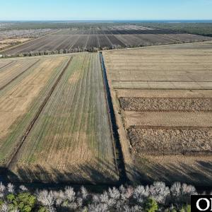 Photo #20 of Off Highway 264, Swan Quarter, NC