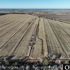 Photo #10 of Off Highway 264, Swan Quarter, NC