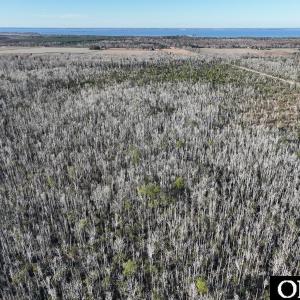 Photo #24 of Off Highway 264, Swan Quarter, NC