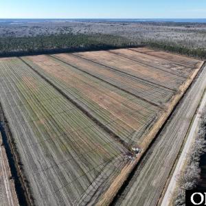 Photo #4 of Off Highway 264, Swan Quarter, NC