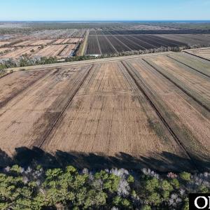 Photo #21 of Off Highway 264, Swan Quarter, NC