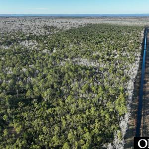 Photo #15 of Off Highway 264, Swan Quarter, NC