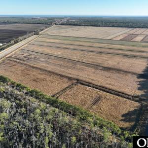 Photo #28 of Off Highway 264, Swan Quarter, NC