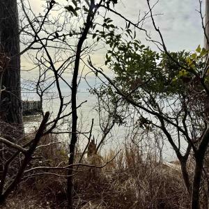 Photo #5 of 128 Sunrise Lane, Kill Devil Hills, NC