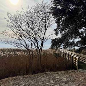 Neighborhood Dock Access