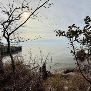 Water view from the lot