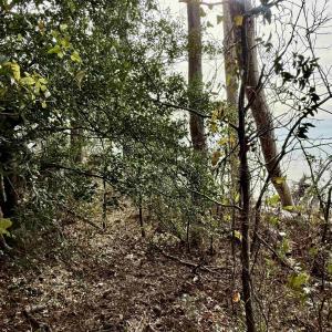 Photo #4 of 128 Sunrise Lane, Kill Devil Hills, NC