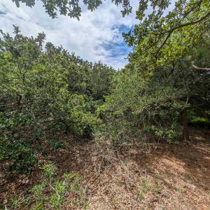 Photo #9 of 2362 Sandpiper Road, Corolla, NC 0.3 acres