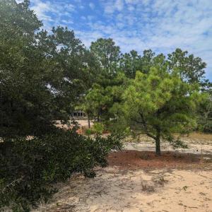 Photo #18 of 2234 Sailfish Road, Corolla, NC