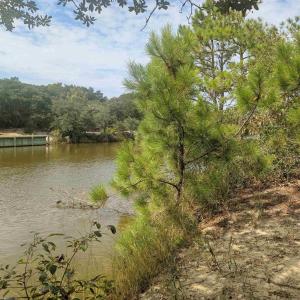 Photo #9 of 2234 Sailfish Road, Corolla, NC