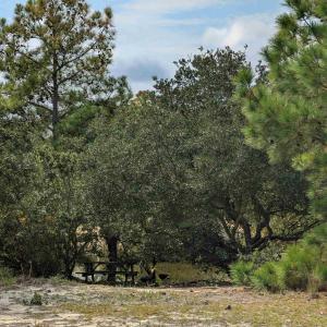 Photo #11 of 2234 Sailfish Road, Corolla, NC