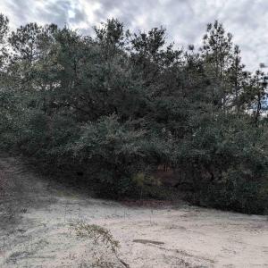 Photo #11 of 2226 Sailfish Road, Corolla, NC