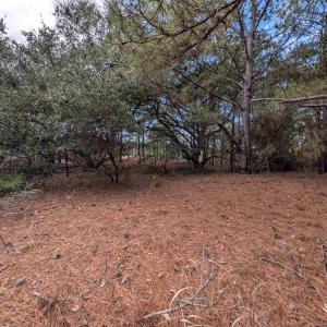 Photo #7 of 2226 Sailfish Road, Corolla, NC