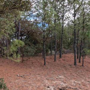 Photo #6 of 2226 Sailfish Road, Corolla, NC