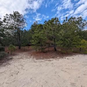 Photo #9 of 2226 Sailfish Road, Corolla, NC