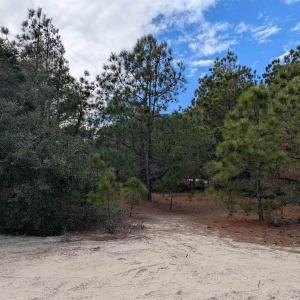 Photo #12 of 2226 Sailfish Road, Corolla, NC