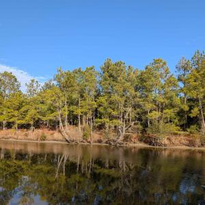 Photo #14 of 2226 Sailfish Road, Corolla, NC