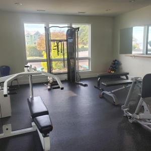 Gym Equipment