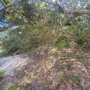 Photo #4 of 972 Harbor View, Corolla, NC 0.2 acres