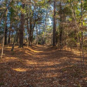 Walk or Drive Through