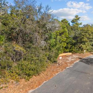 Photo #11 of 50793 Timber Trail, Frisco, NC 0.4 acres